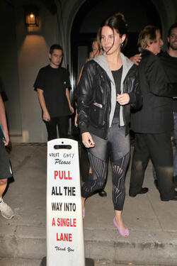 Lana Del Rey dines with friends at Craig s