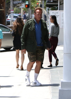 Arnold Schwarzenegger was spotted while out and about in Brentwood.