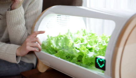 Hydroponic agriculture app Hydroponic agriculture app
