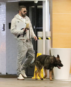 Ben Affleck Keeps Busy Amid House Hunt Arrives At Hollywood Office With Guard Dog Ben Affleck Keeps Busy Amid House Hunt Arrives At Hollywood Office With Guard Dog