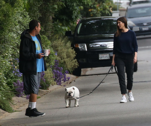 Adam Sandler walking his cute puppy Adam Sandler walking his cute puppy