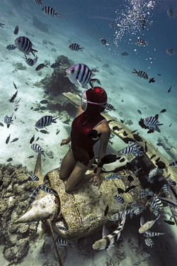 MEET THE REAL LIFE MERMAID WHO HOLDS HER BREATH FOR FOUR AND A HALF MINUTES TO SWIM IN THE DEEP WITH INCREDIBLE SEA CREATURES AND WRECKAGES