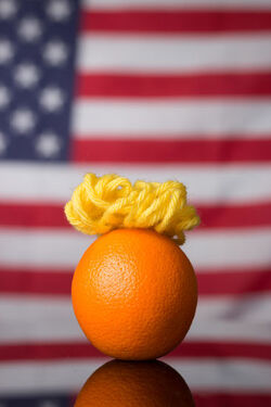 Things that look like Donald Trump