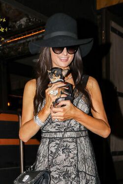 Paris Hilton shows off dramatic new brunette hairstyle and engagement ring as she heads on a shopping trip with her dog Paris Hilton shows off dramatic new brunette hairstyle and engagement ring as she heads on a shopping trip with her dog