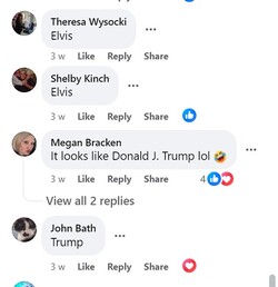 Trump Pancake Conundrum