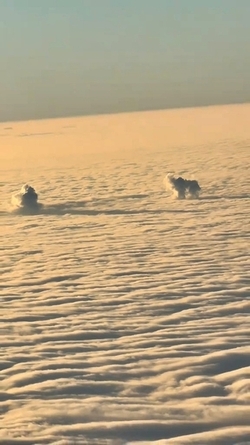 VIDEO Plane passenger spots DOG playing with ball in the clouds
