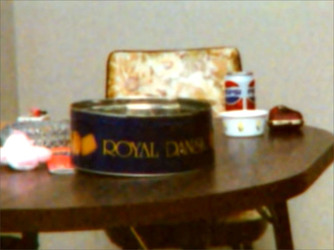 MUM AND HER TWO DAUGHTERS MURDERED BY ANGRY NEPHEW