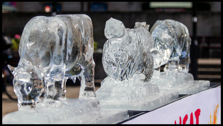 PETA Ice Sculptures