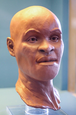 3D CAVEMAN FACE REVEAL