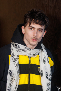 Timothee Chalamet at the Photocall of the movie A Complete Unknown at the 75th Berlin Film Festival Berlinale