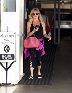 Film icon Goldie Hawn was spotted leaving the Gym in Brentwood. Film icon Goldie Hawn was spotted leaving the Gym in Brentwood.