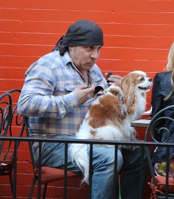 Steven Van Zandt has lunch in the West Village With his Dog