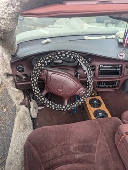 Dumb and Dumber Dog Buick for Sale