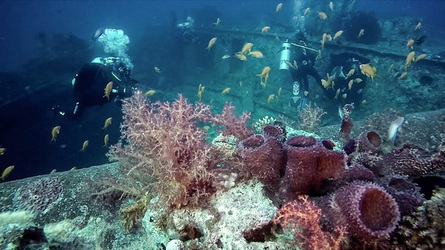 NO CAR GO SUNKEN WWII CARGO SHIP STILL HOME TO INTACT VEHICLES