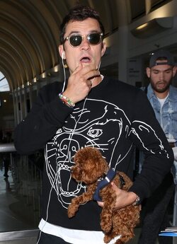 Orlando Bloom returned to Los Angeles carrying his puppy and signing autographs on his way to his waiting vehicle.