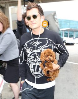 Orlando Bloom returned to Los Angeles carrying his puppy and signing autographs on his way to his waiting vehicle.