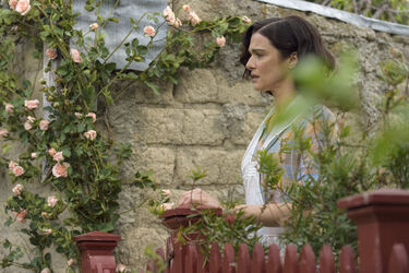 The Light Between Oceans