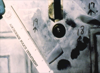 MUM AND HER TWO DAUGHTERS MURDERED BY ANGRY NEPHEW