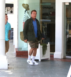 Arnold Schwarzenegger was spotted while out and about in Brentwood.