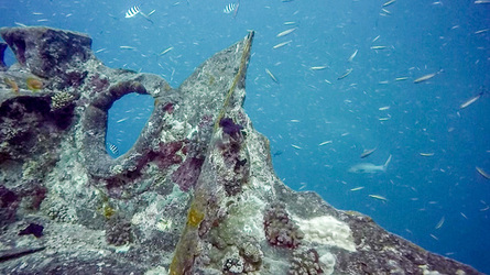 NO CAR GO SUNKEN WWII CARGO SHIP STILL HOME TO INTACT VEHICLES