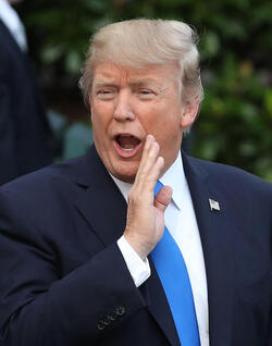 FILE PHOTOS Donald Trump Book First couple lived separately in Trump Tower and would go DAYS without seeing each other and only mentions Melania for her looks