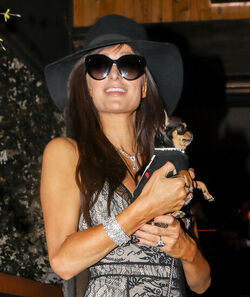 Paris Hilton shows off dramatic new brunette hairstyle and engagement ring as she heads on a shopping trip with her dog Paris Hilton shows off dramatic new brunette hairstyle and engagement ring as she heads on a shopping trip with her dog