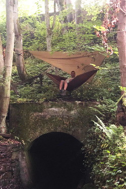 LUCKY DAD CAN ESCAPE INTO A FOREST IN HIS BACK GARDEN