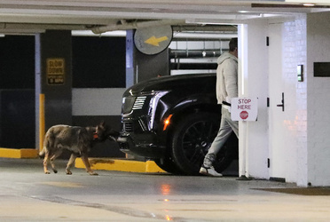 Ben Affleck Keeps Busy Amid House Hunt Arrives At Hollywood Office With Guard Dog Ben Affleck Keeps Busy Amid House Hunt Arrives At Hollywood Office With Guard Dog