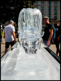 PETA Ice Sculptures