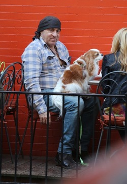 Steven Van Zandt has lunch in the West Village With his Dog