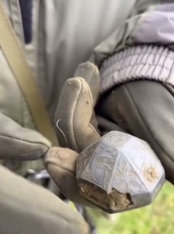 Stunned schoolboy finds part of 13th century sword with metal detector