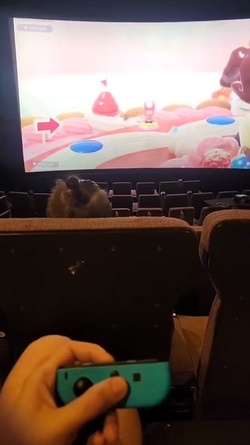 Woman goes viral renting entire CINEMA screen to play video games with mates Woman goes viral renting entire CINEMA screen to play video games with mates
