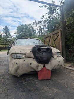 Dumb and Dumber Dog Buick for Sale