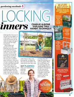 Soil blocking for beginners