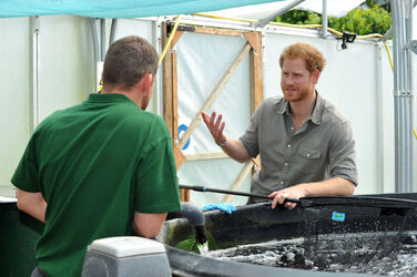Prince Harry in Wigan Prince Harry in Wigan