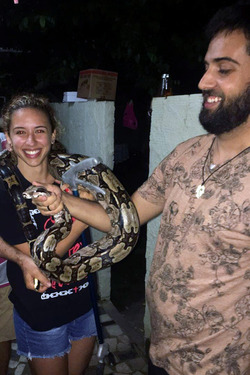 SLITHERING CYCLES 7FT SNAKE FOUND HIDING IN WASHING MACHINE