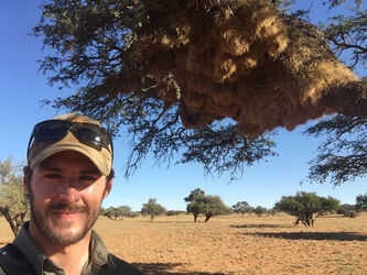 MEERKATS ATTACK GO PRO