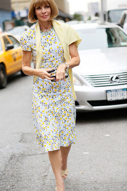 Vogue Editor Anna Wintour has been wearing the same Manolo Blahnik shoes since 1994 Vogue Editor Anna Wintour has been wearing the same Manolo Blahnik shoes since 1994