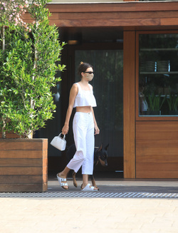 Kendall Jenner Angelic In White As She Brings Her Doberman Along To Dinner At Soho
