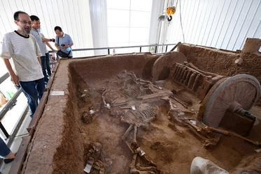 China Shows 1000 BC Bronze Chariot Buried with Horses