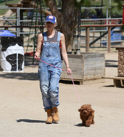 Gwen Stefani with Kids Enjoying the Day at a Farm