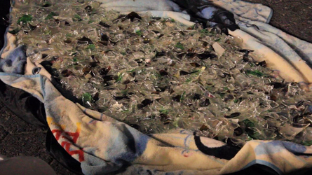 Broken Glass Walk Broken Glass Walk