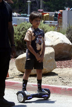 Nori West takes her puppy Sushi to the park to see horses Nori West takes her puppy Sushi to the park to see horses
