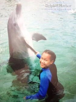 Teenager travels 4 000 miles to Britain to become dolphin doctor