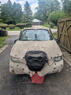Dumb and Dumber Dog Buick for Sale