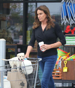 Caitlyn Gets Cute Cuddly Companion