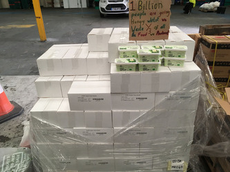 FOOD WASTE BOSS INVESTIGATION