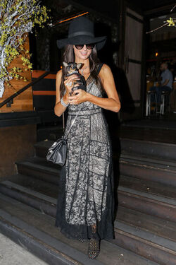 Paris Hilton shows off dramatic new brunette hairstyle and engagement ring as she heads on a shopping trip with her dog Paris Hilton shows off dramatic new brunette hairstyle and engagement ring as she heads on a shopping trip with her dog