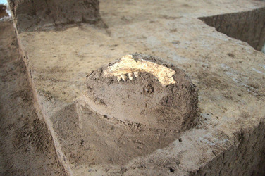 China Shows 1000 BC Bronze Chariot Buried with Horses