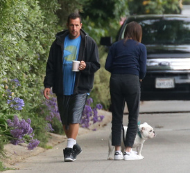 Adam Sandler walking his cute puppy Adam Sandler walking his cute puppy